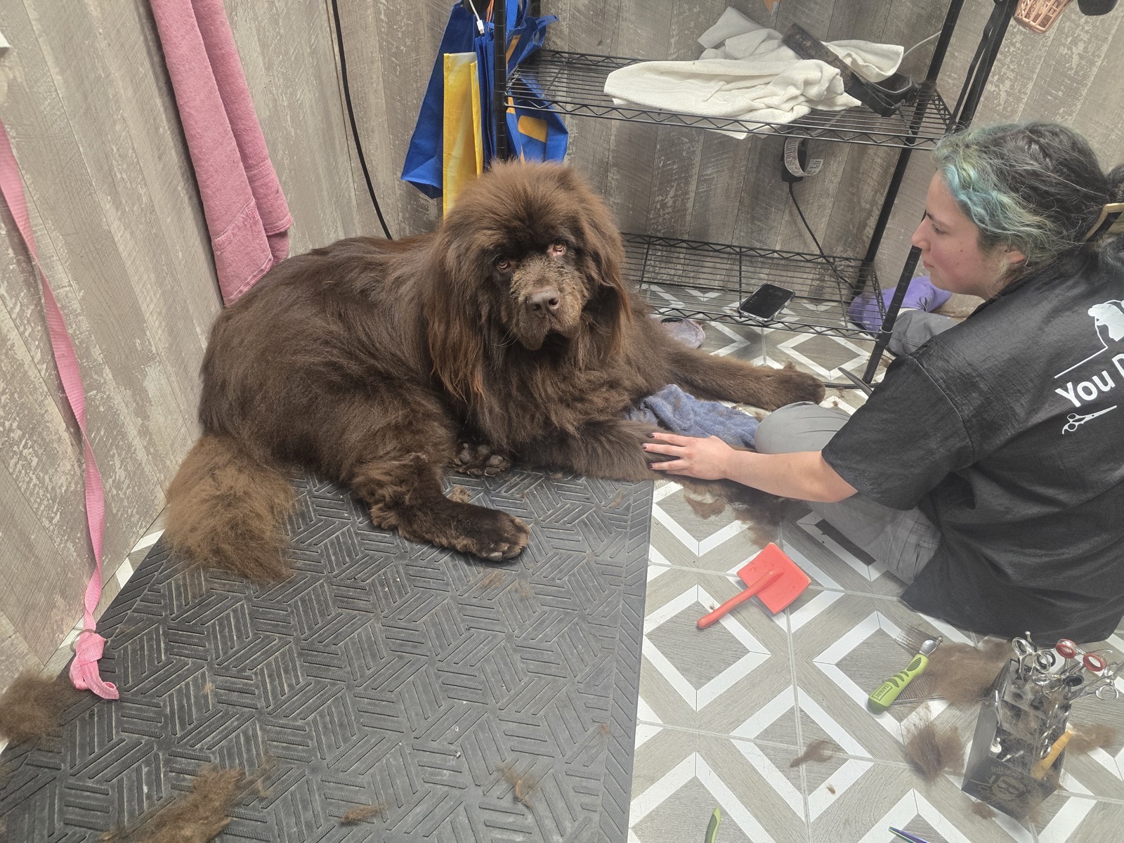 Newfie spa treatment