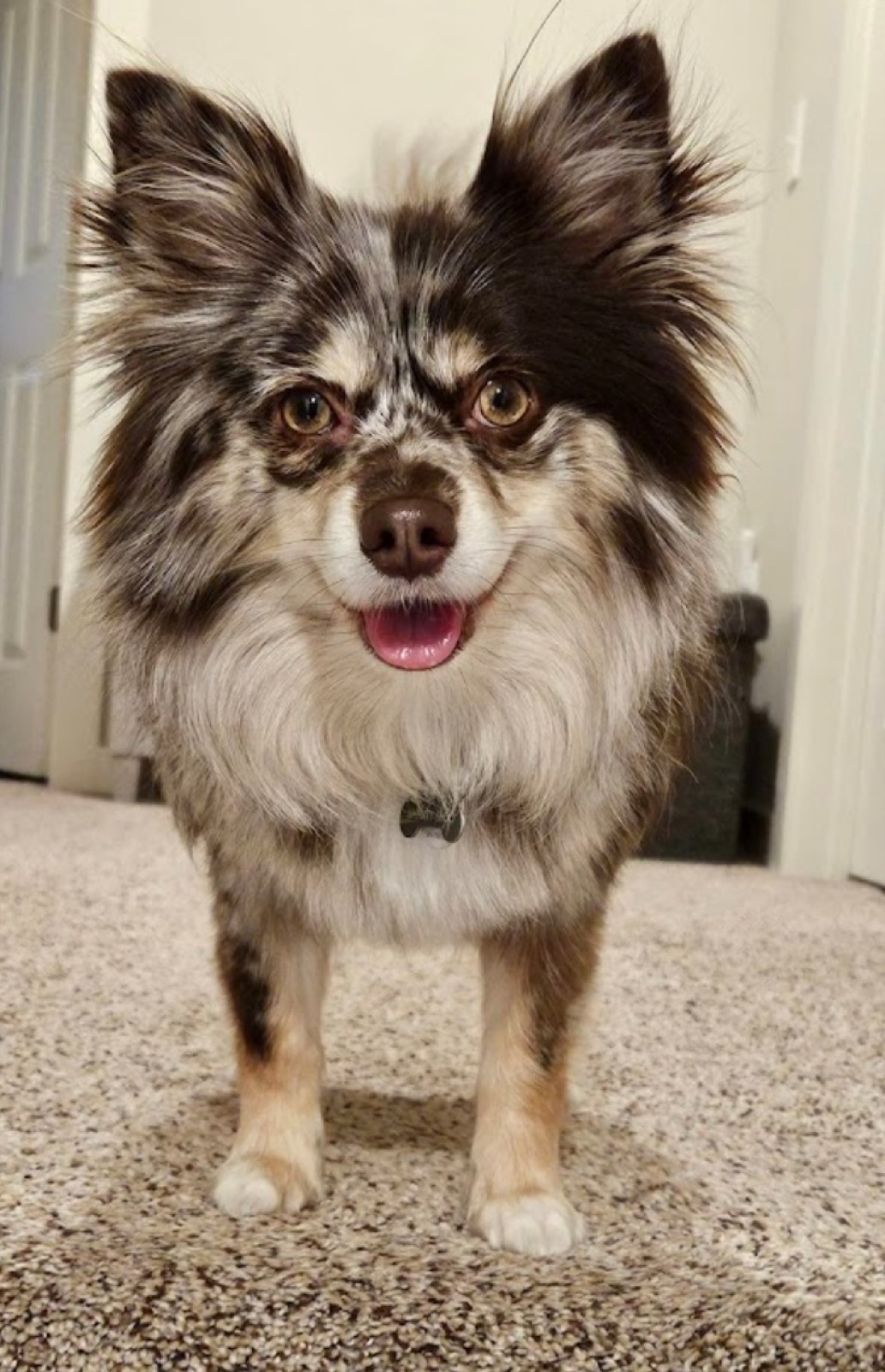 Fresh cut, big smile