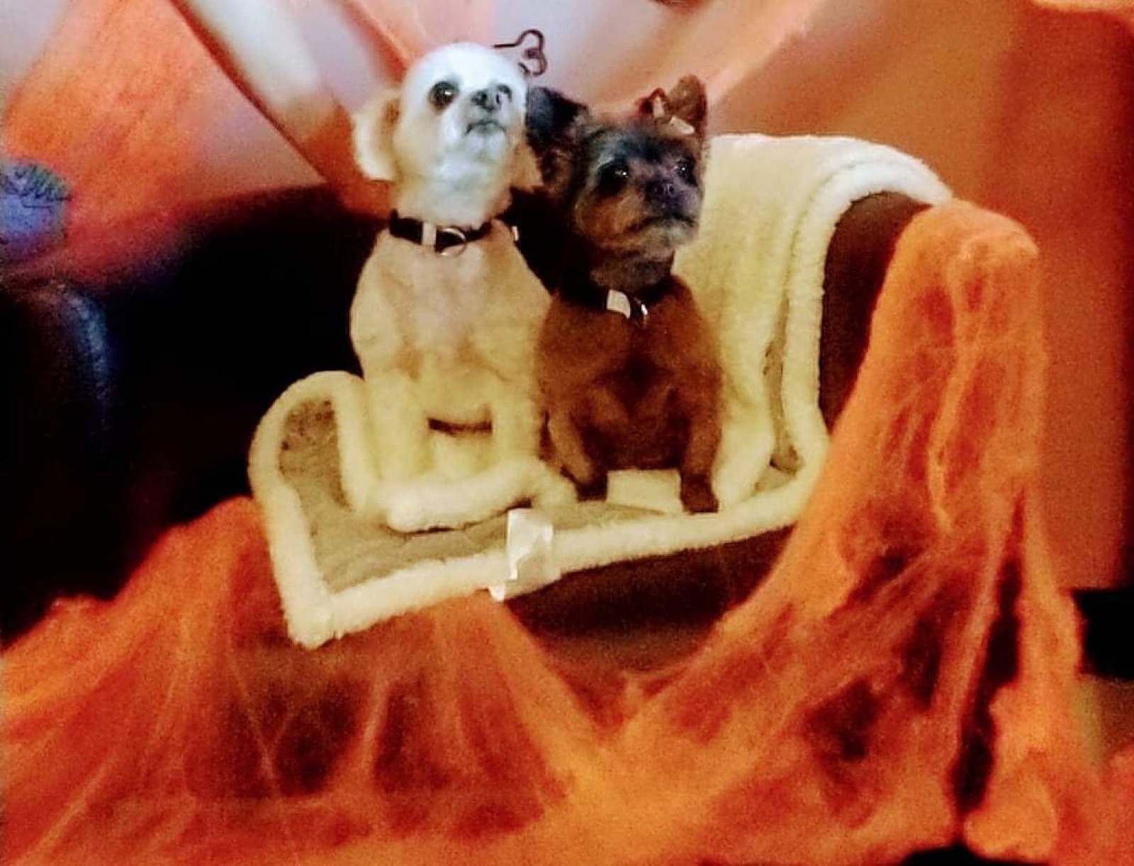 Spooky season duo