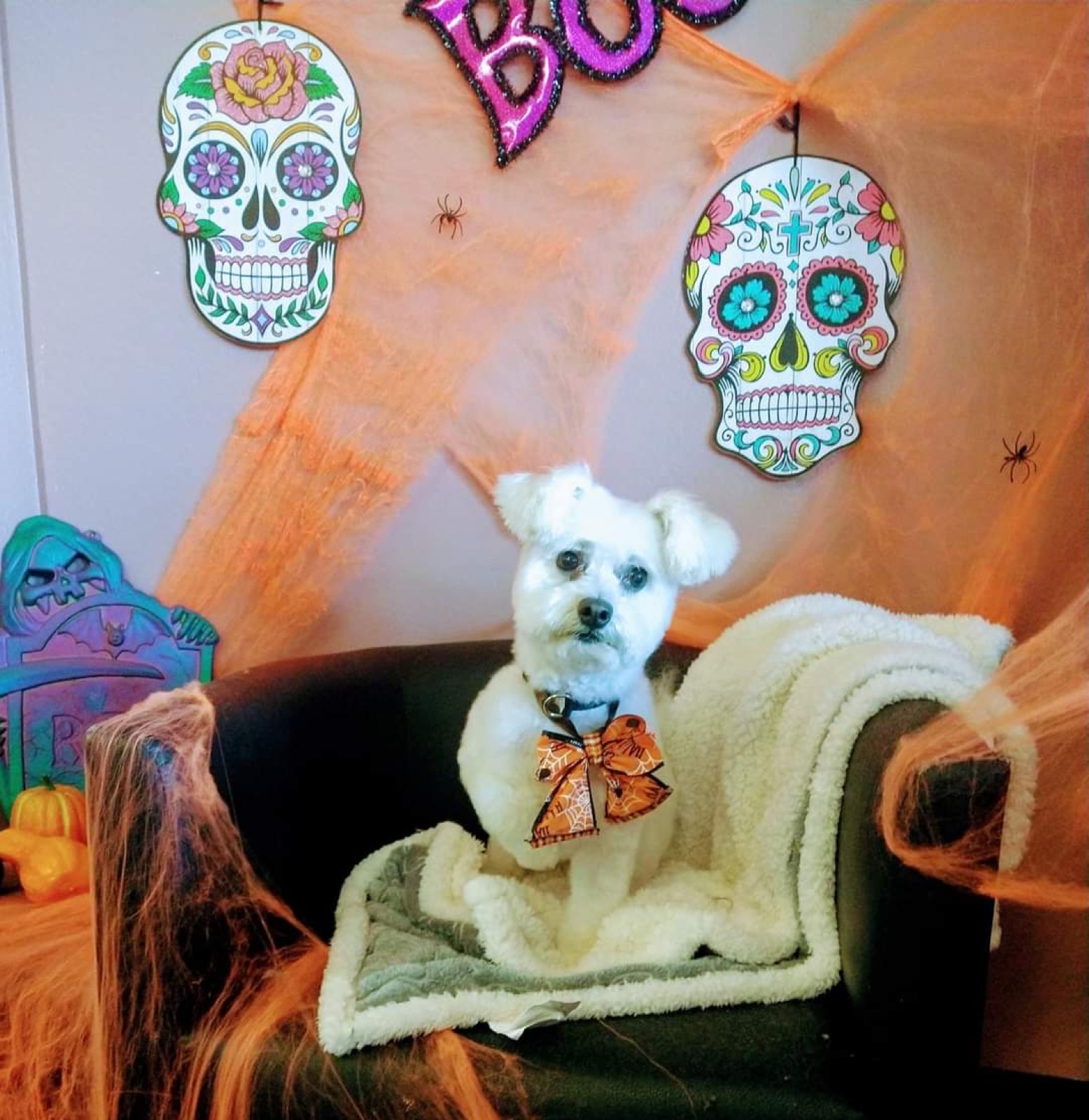 Día de los Muertos cutie